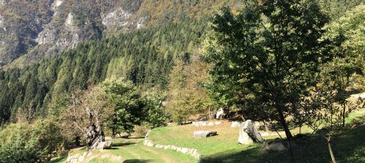 Castagneto di Carisolo